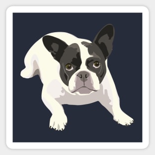 Black and White French Bulldog - Vector Art Portrait Sticker